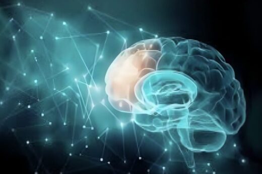 Les Neurosciences dans l&#8217;Univers du Coaching Professionnel
