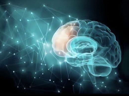 Les&#x20;Neurosciences&#x20;dans&#x20;l&amp;&#x23;8217&#x3B;Univers&#x20;du&#x20;Coaching&#x20;Professionnel